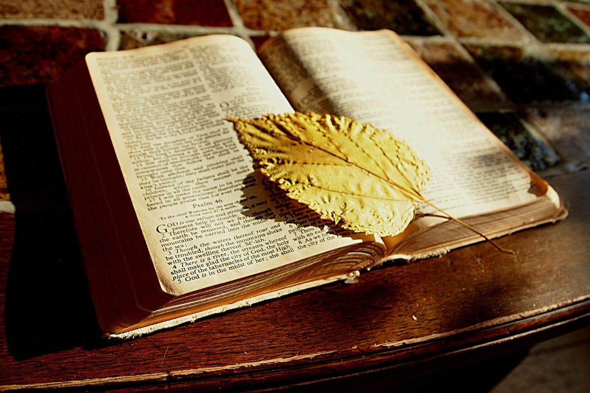 Ken Miller Bible
